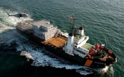 Bonjour tout le monde !